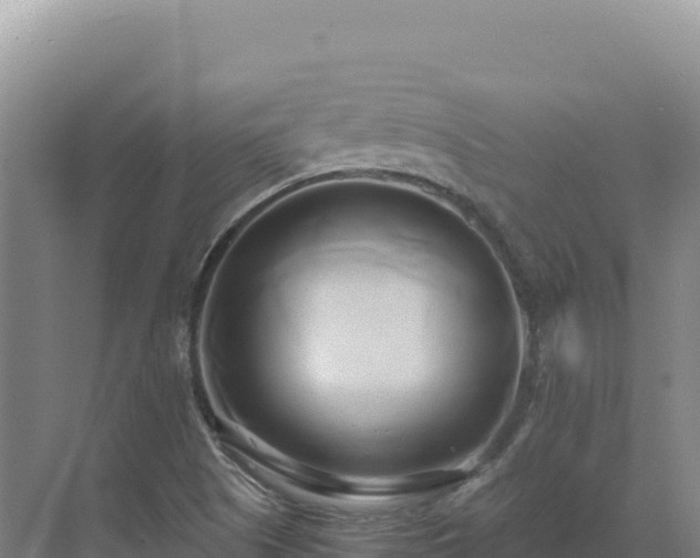 X0000071381505200606301756