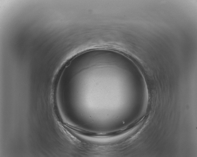 X0000071381506200606301756