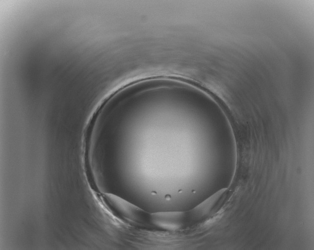 X0000071381508200606301756