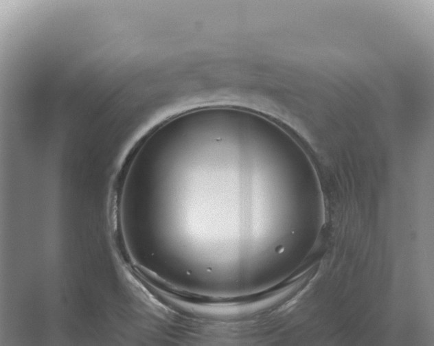 X0000071381510200606301756