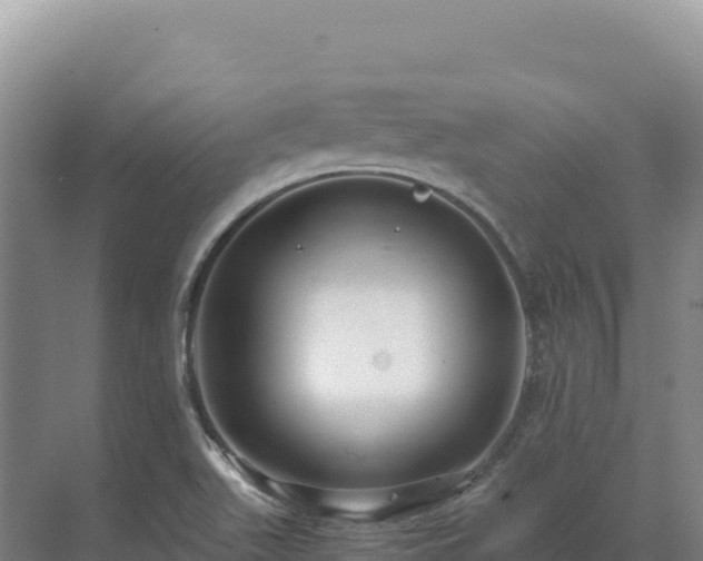 X0000071381511200606301756