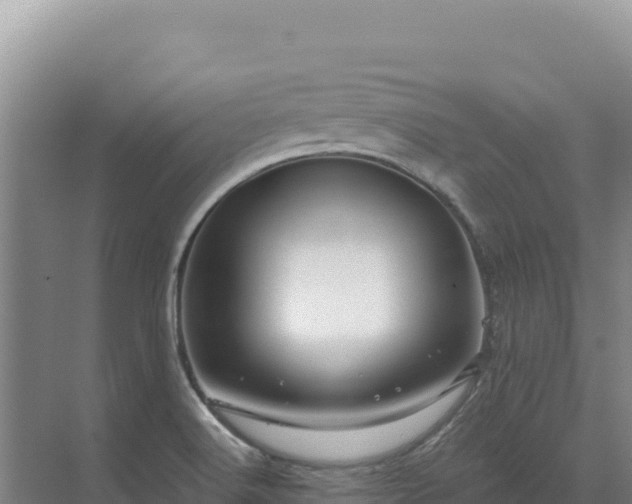 X0000071381516200606301756