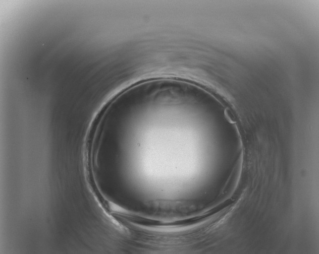 X0000071381517200606301756