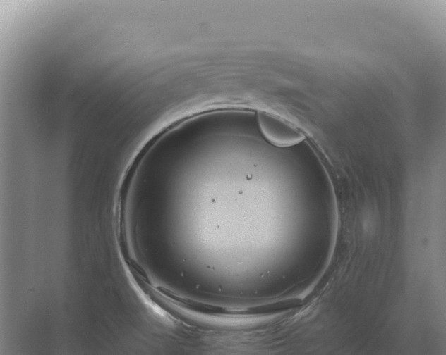 X0000071381519200606301756