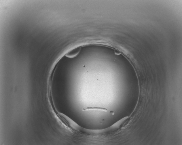 X0000071381520200606301756