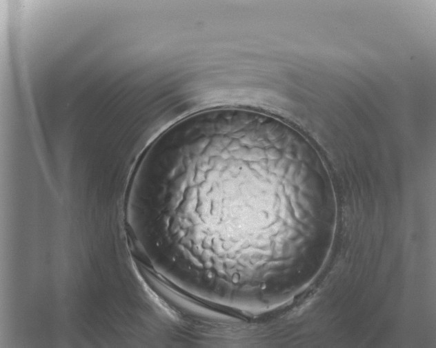 X0000071381521200606301756