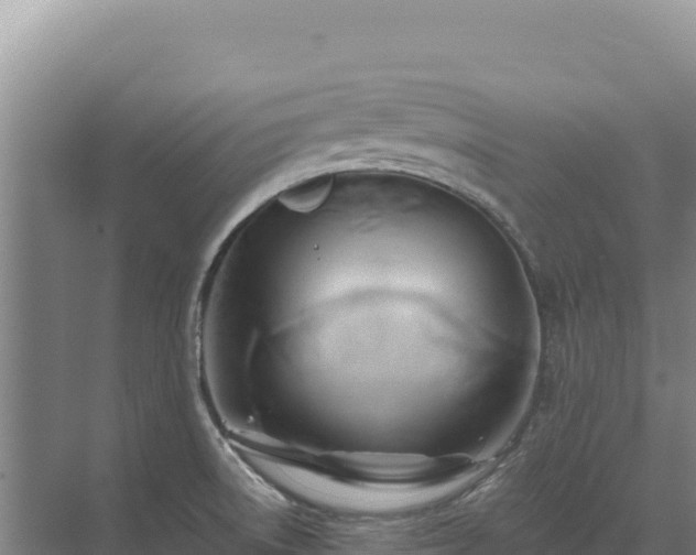 X0000071381522200606301756