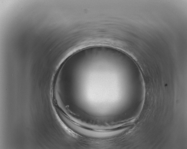 X0000071381523200606301756