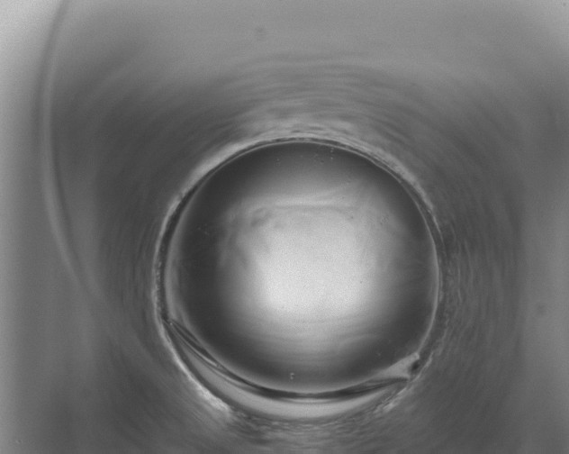 X0000071381525200606301756