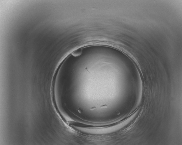 X0000071381533200606301757