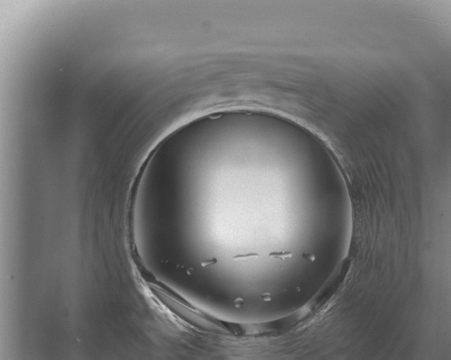 X0000071381534200606301757