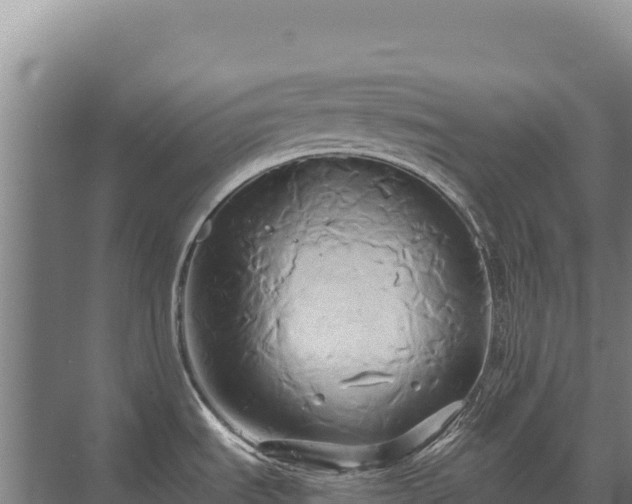 X0000071381535200606301757