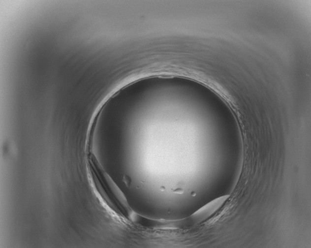 X0000071381536200606301757