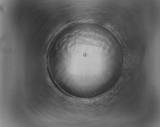 X0000071380002200607071853