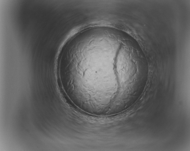 X0000071380006200607071853