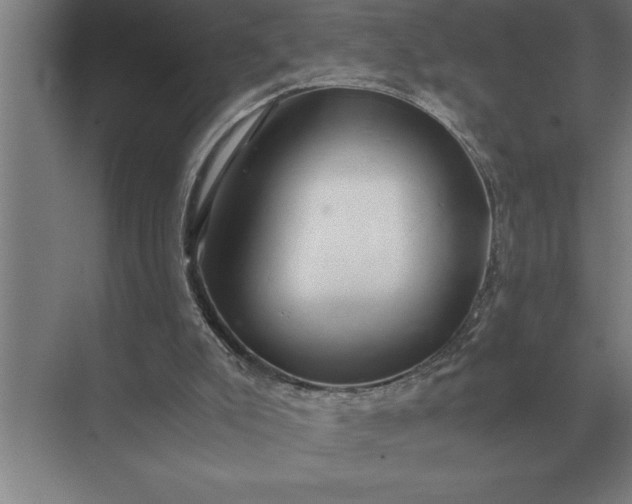 X0000071380007200607071853