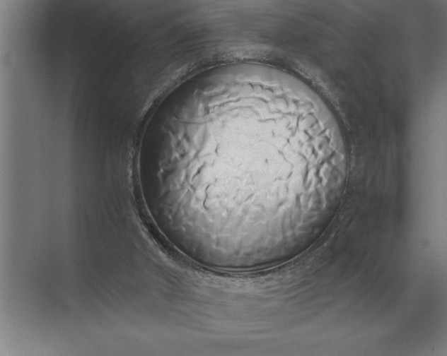 X0000071380010200607071853