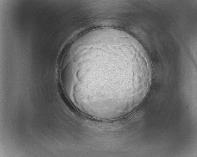 X0000071380016200607071853