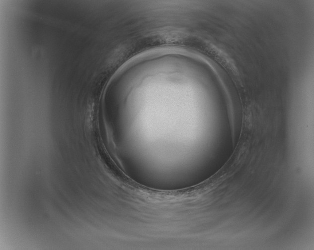 X0000071380018200607071853