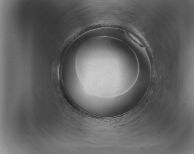 X0000071380019200607071853