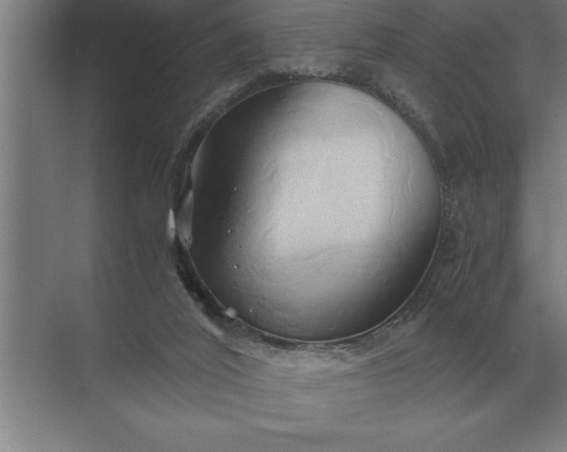 X0000071380020200607071853