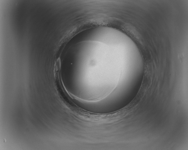 X0000071380023200607071853