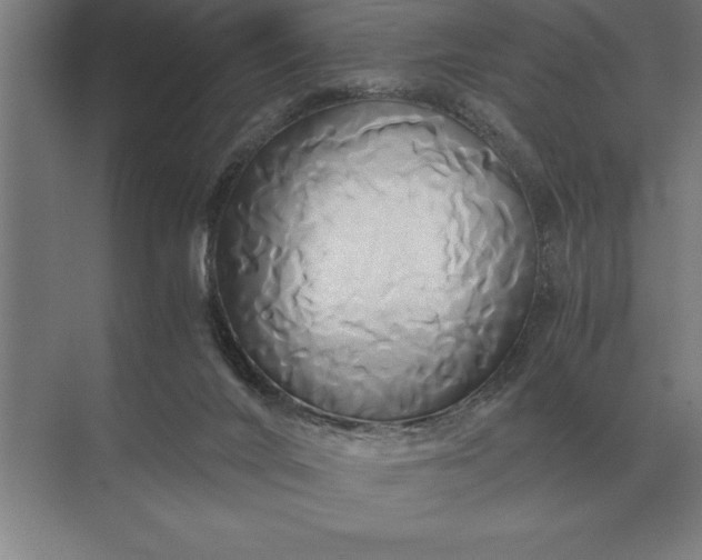 X0000071380024200607071853