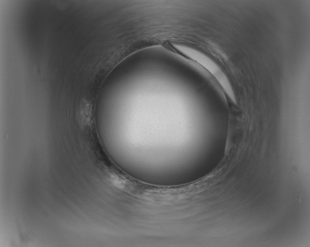 X0000071380025200607071853