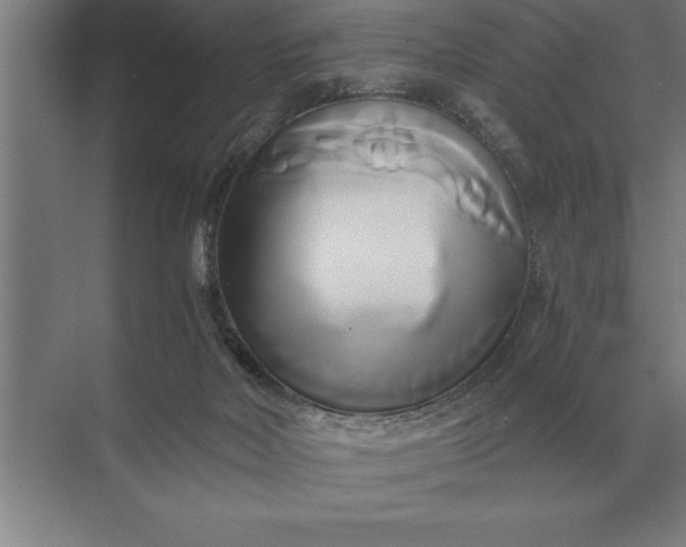 X0000071380026200607071853