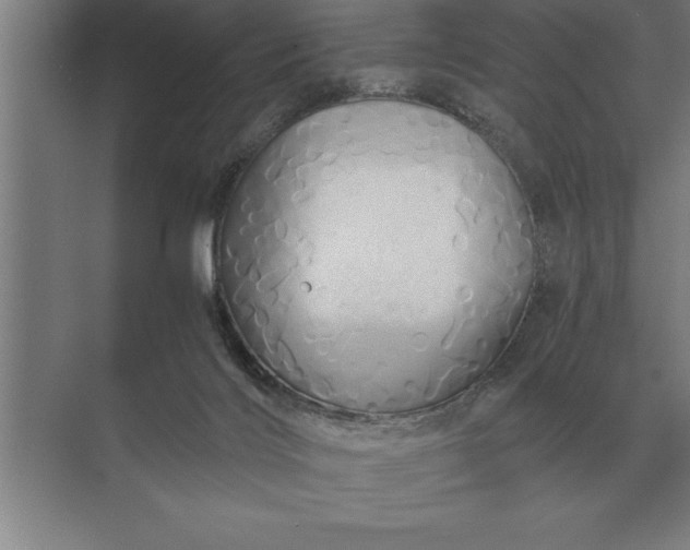 X0000071380028200607071853