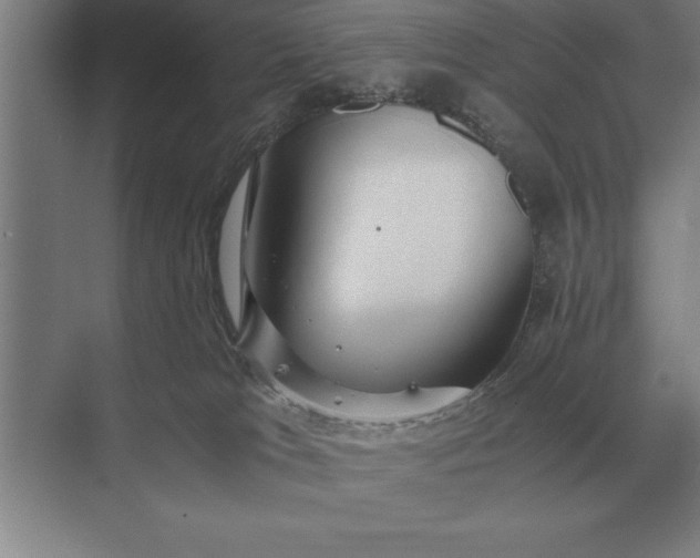 X0000071380037200607071853