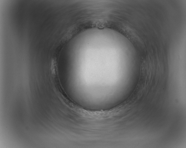 X0000071380038200607071853