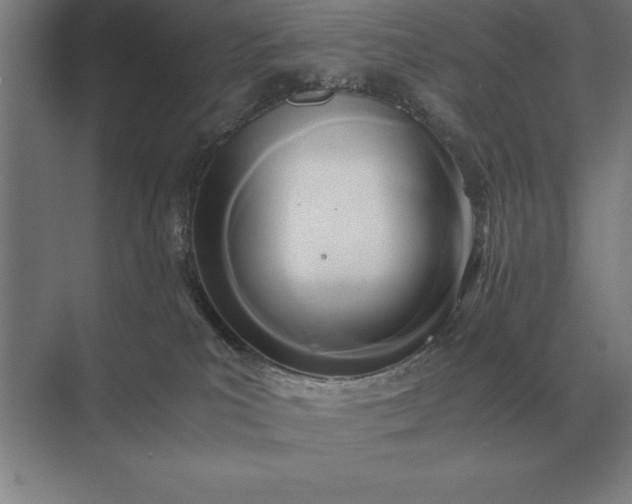 X0000071380039200607071853