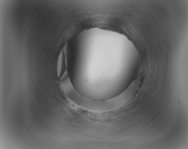 X0000071380041200607071853