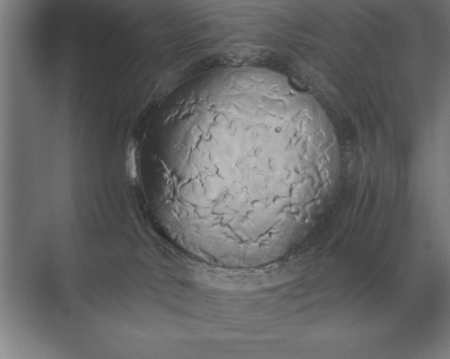 X0000071380042200607071853