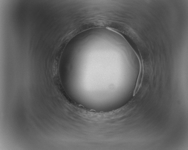 X0000071380043200607071853