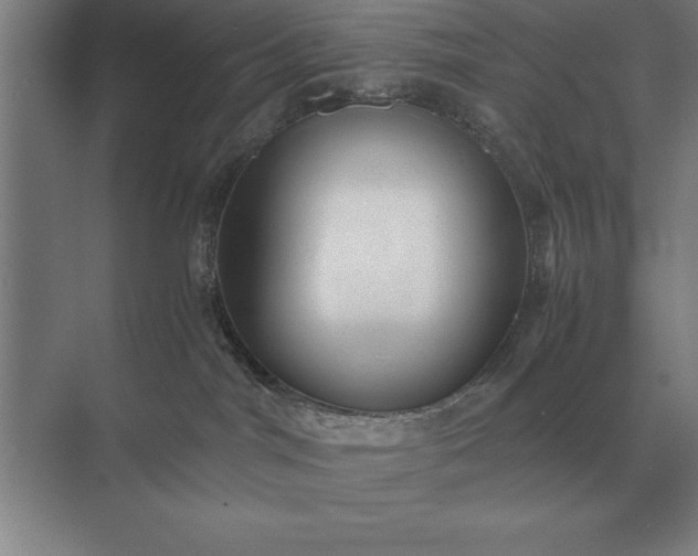 X0000071380044200607071853