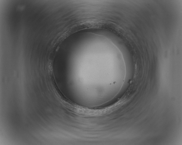 X0000071380048200607071853