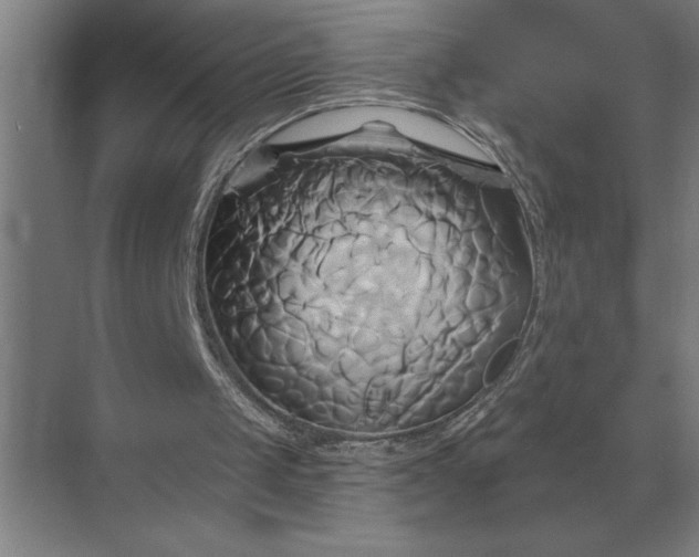 X0000071380049200607071852