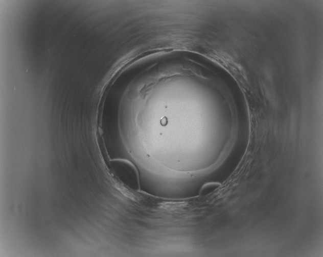 X0000071380051200607071852