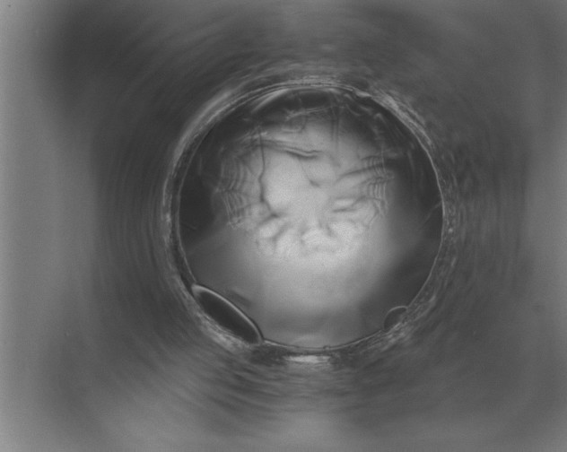 X0000071380053200607071852