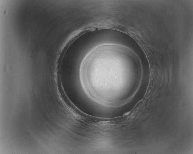 X0000071380054200607071852