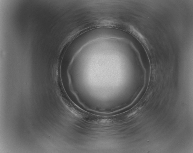 X0000071380059200607071852