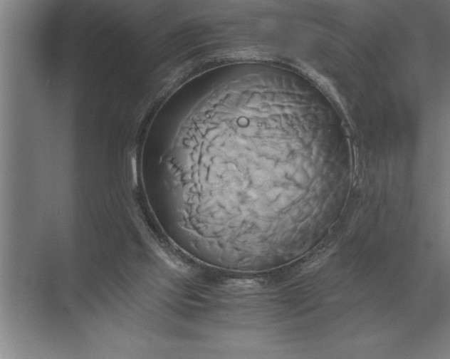 X0000071380061200607071852