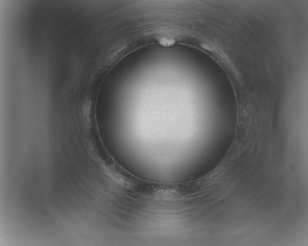 X0000071380066200607071852