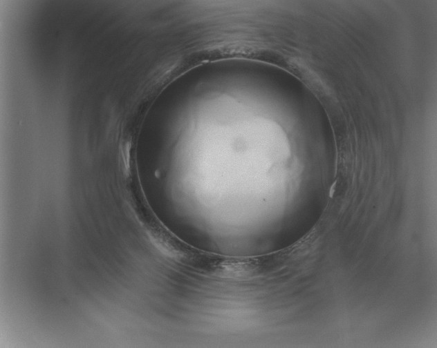 X0000071380070200607071852