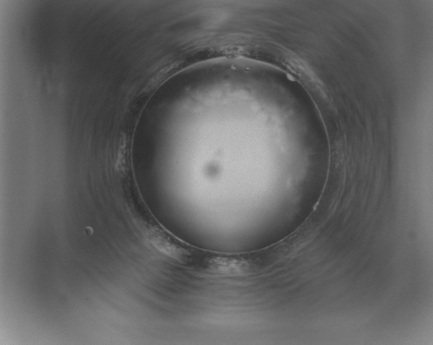 X0000071380073200607071852