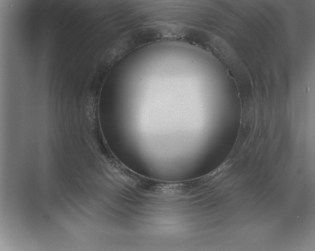 X0000071380078200607071852