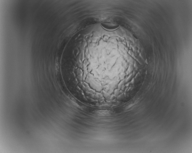 X0000071380085200607071852