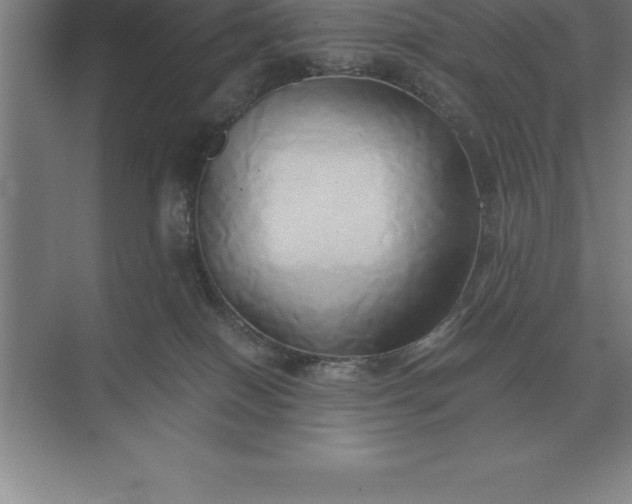 X0000071380086200607071852